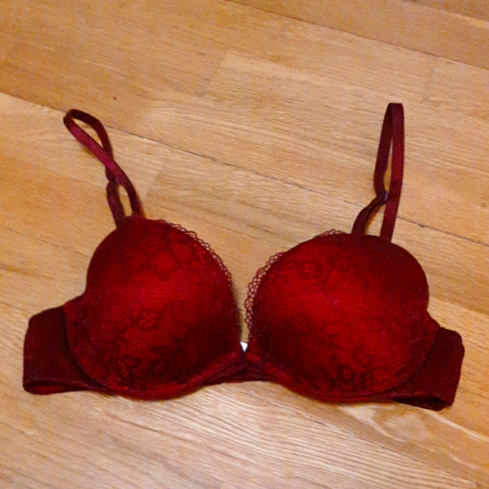 Lace Plunge push up bra